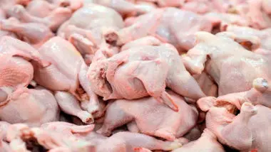 واردات ۵۰ هزار تن گوشت مرغ به گمرک ابلاغ شد