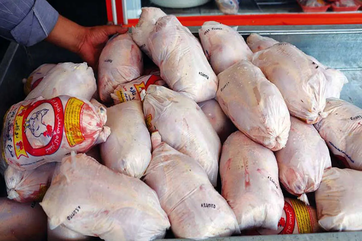 ۲ نرخی بودن قیمت مرغ تنها علت نابه سامانی بازار/ نرخ هر کیلو مرغ ۳۵ هزار تومان