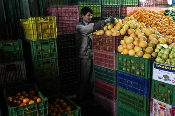 افزایش 20 درصدی تولید و عرضه میوه‌های تابستانه  