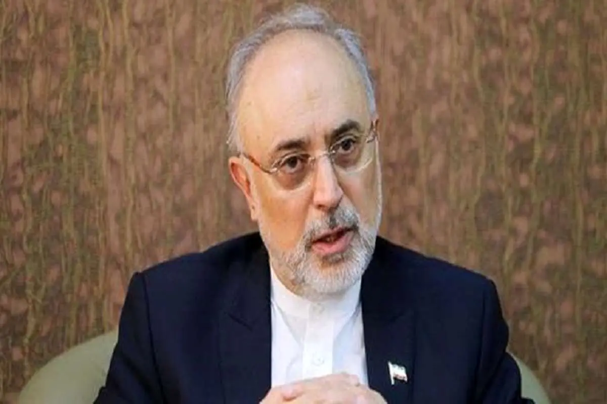 علی اکبر صالحی احتمال حضورش در انتخابات را تایید کرد