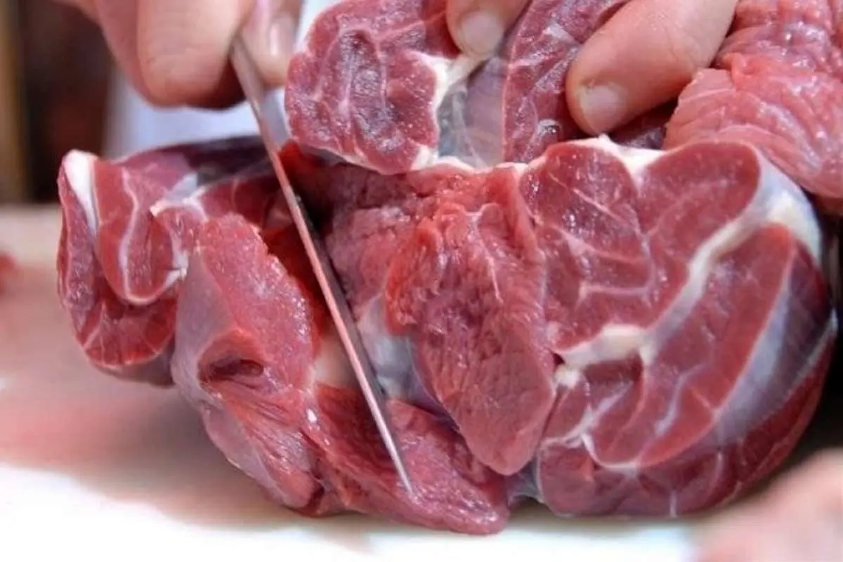 فروش گوشت آهو در فروشگاه‌های اینترنتی!/ هر کیلو گوشت آهو ۶۸۰ هزار تومان