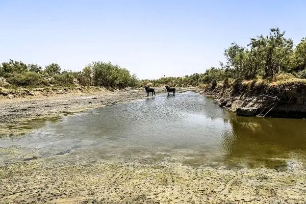 تصفیه خانه آب شرب دارخوین خوزستان در آستانه بهره‌برداری