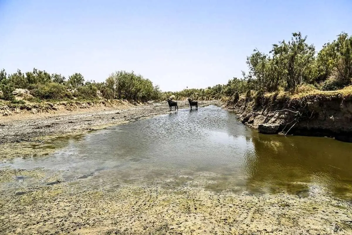 کاهش ۷۰ درصدی حجم سد کرخه/ تهدید تامین آب شرب در خوزستان