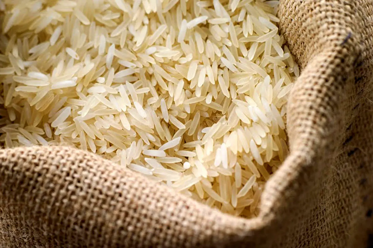 برنج ۲۰۰ درصد گران شد!