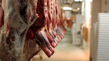 آخرین قیمت گوشت گوسفند در روز عید قربان / گوشت گاو کیلویی چند؟