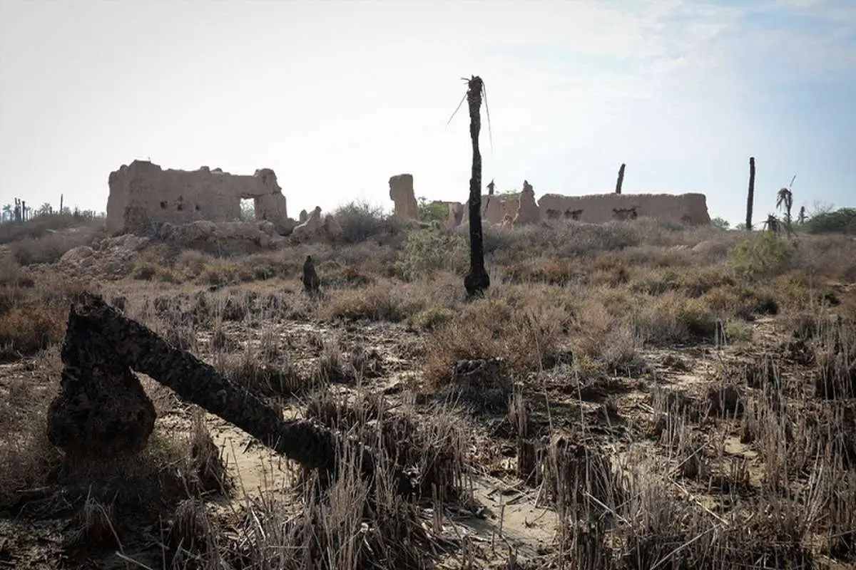 خشکسالی ۱۲ هزار میلیارد تومان به کشاورزی خوزستان خسارت زد
