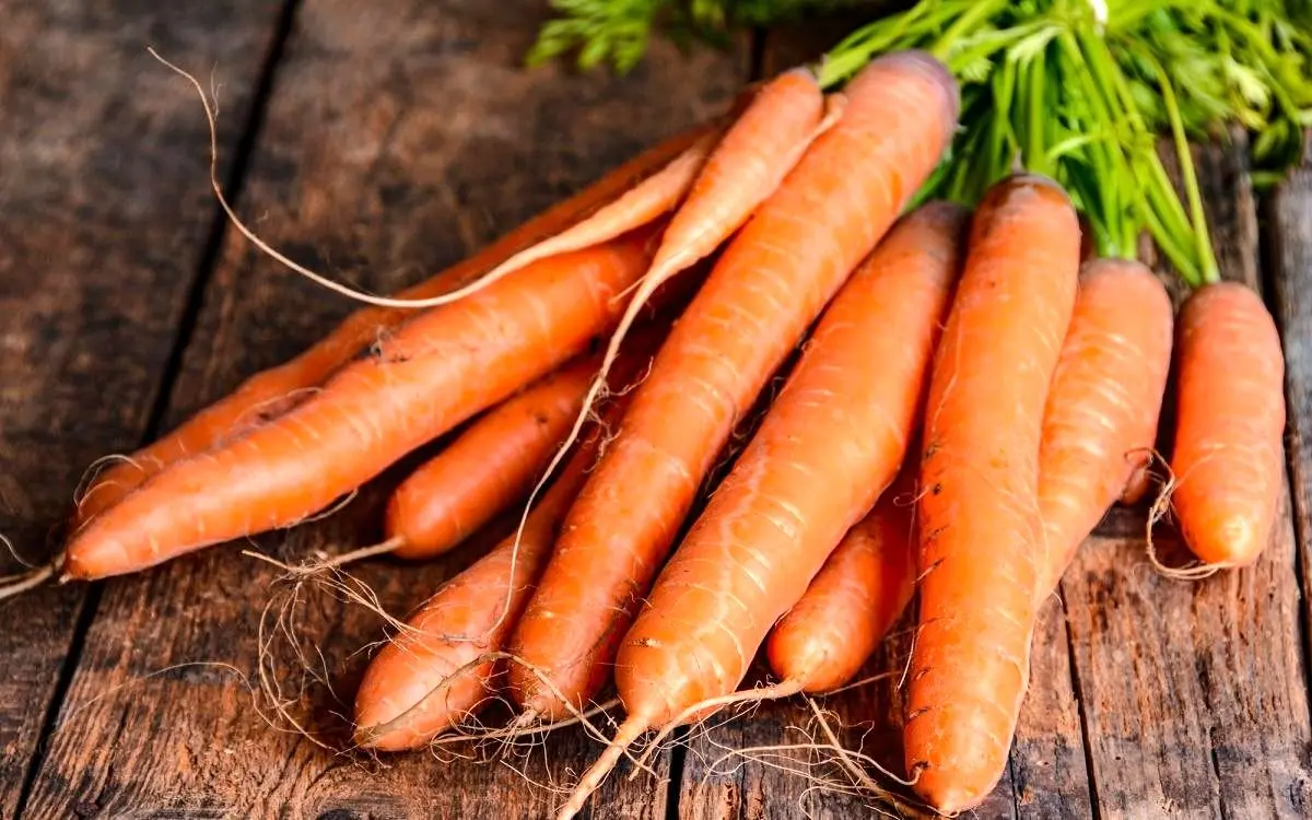 قیمت هویج به زیر ۱۰ هزار تومان می‌رسد؟