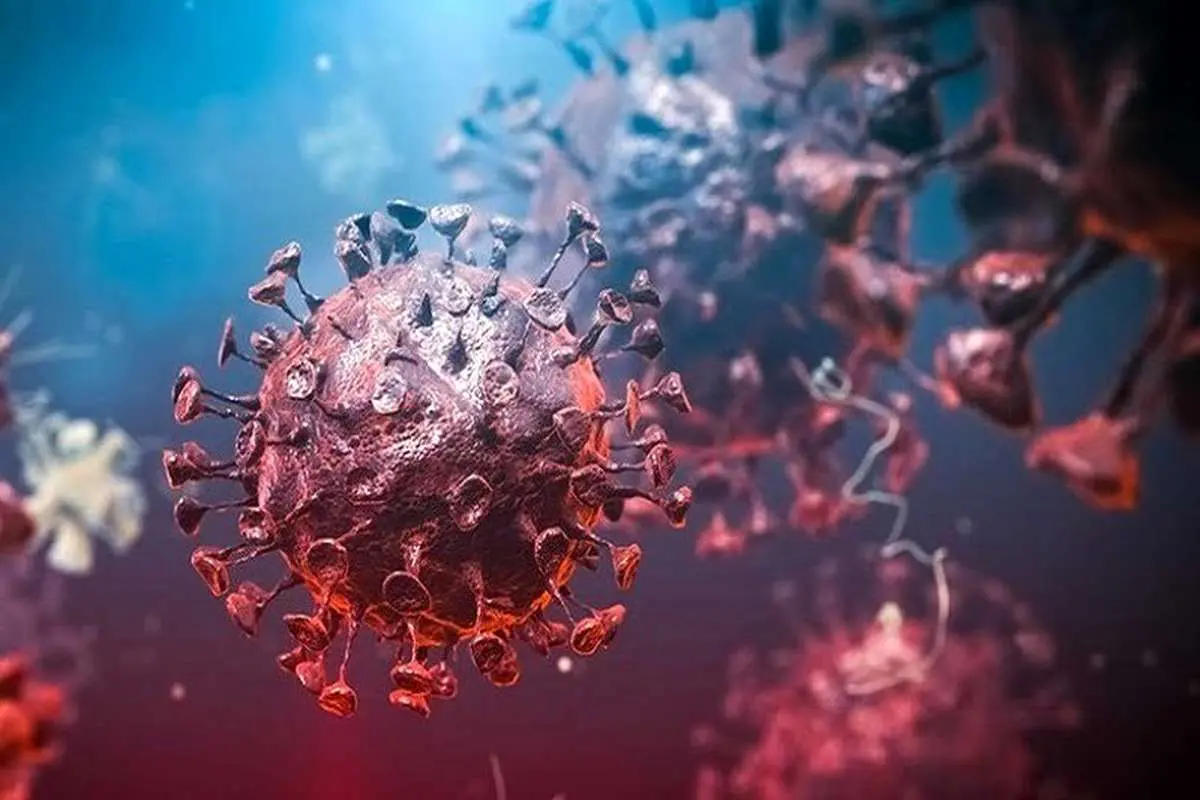 کشف گونه جدید ویروس کرونا