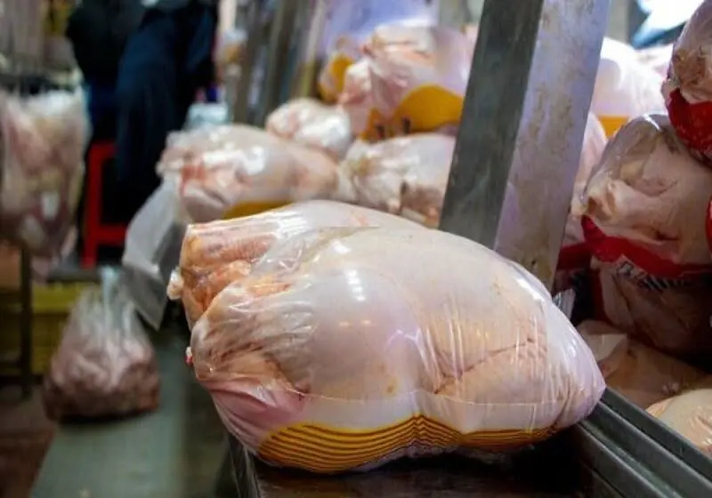 تفاوت قیمت مرغ در بازار با قیمت مصوب / مرغ ارزان کجا فروخته می‌شود؟