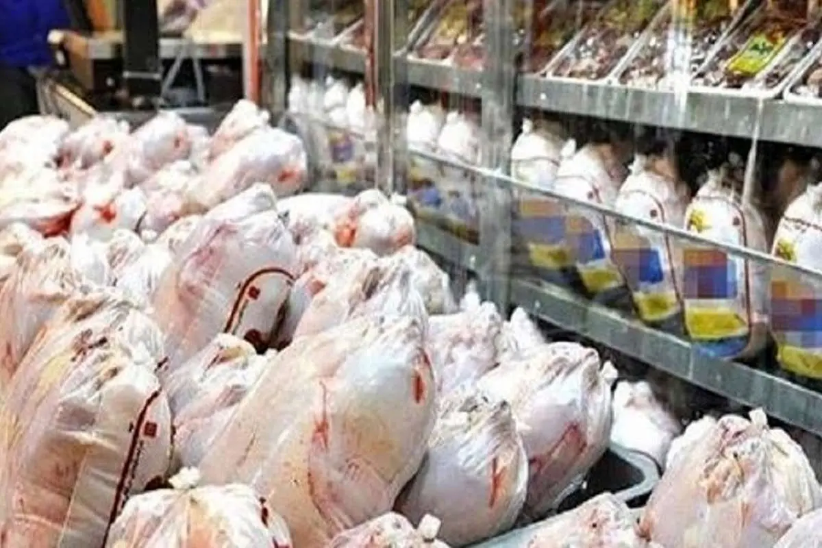 کمبود مرغ در بازار/ قیمت هر قطعه جوجه، ۸ هزار تومان