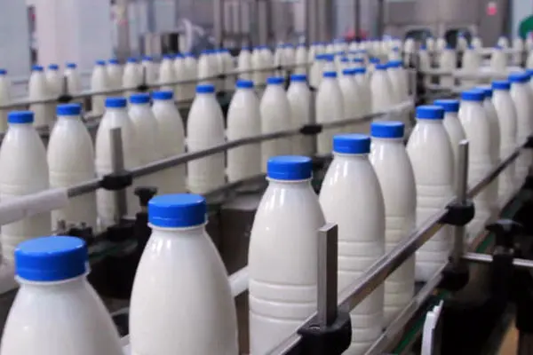 سهم کمتر شیر در سبد مصرف خانوار 0.7 درصد شد/ سرانه مصرف شیر در ایران نصف جهان
