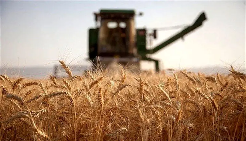 تامین گندم مورد نیاز کشور تا پایان سال