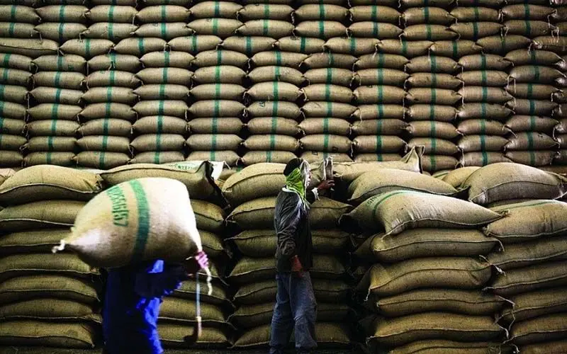 بلا تکلیفی ۱۵ هزار تن برنج در گمرک/ وزارتخانه‌های مسئول تصمیم نمی‌گیرند