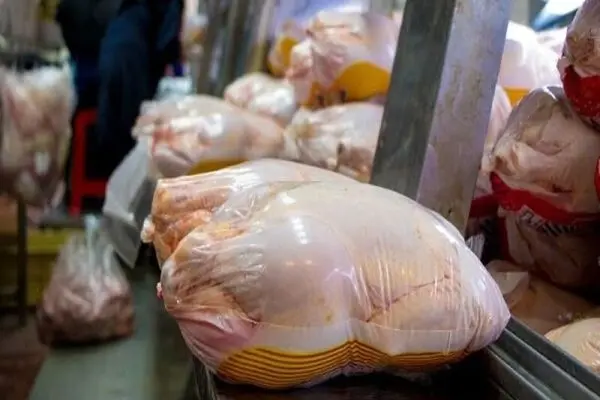 واردات بی‌رویه گوشت مرغ در اوج تولید داخلی / چرا قیمت مرغ کاهش یافت؟