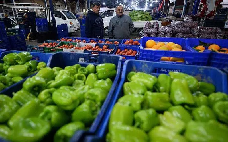 علت برگشت محصولات صادراتی به ایران / چرا کشاورزان از سموم مصرفی ناراضی هستند؟