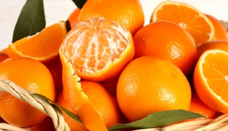 نارنگی گران شد / هر کیلو نارنگی ۴۰ هزار تومان