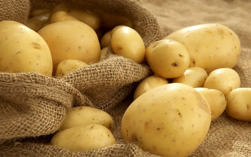 سیب‌زمینی ۲۰ هزار تومانی در بازار / خبری از مجوز واردات نیست