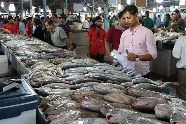 حذف ماهی از سفره ایرانیان / چرا قیمت ماهی بالا رفت؟