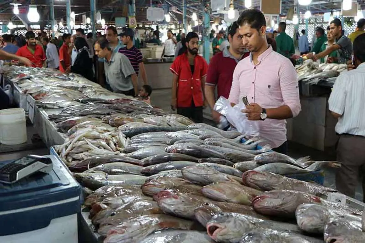 حذف ماهی از سفره ایرانیان / چرا قیمت ماهی بالا رفت؟