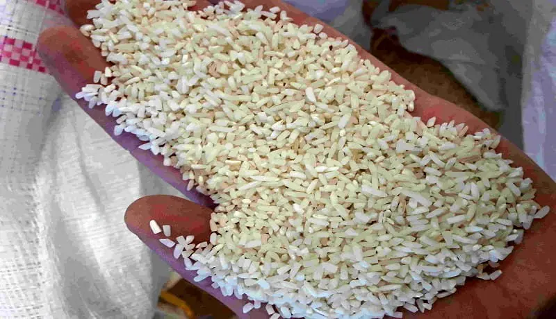 برنج ایرانی ۹۵ درصد گران شد