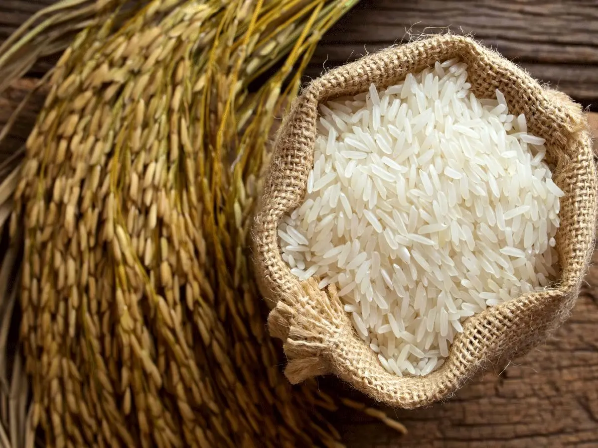 توزیع برنج دولتی آغاز شد/ ترجیح مصرف‌کنندگان ایرانی کدام برنج است؟