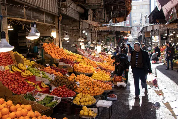 میوه شب عید ارزان‌تر از بازار عرضه می‌شود