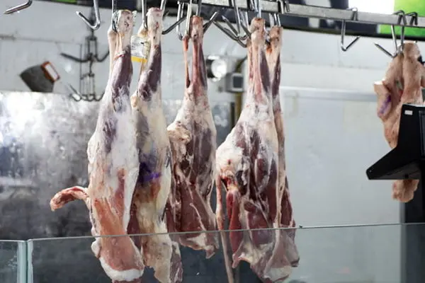 پتانسیل تولید یک میلیون تن گوشت قرمز در کشور/ روند کاهشی قیمت دام در یک ماه اخیر