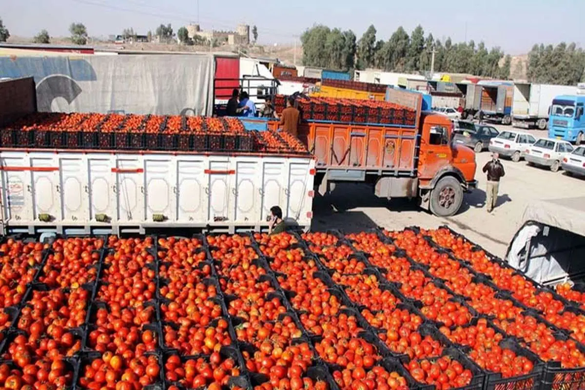 اعتصاب کامیون‌داران قیمت گوجه را نجومی کرد/ سیب جایگزین گوجه می‌شود؟