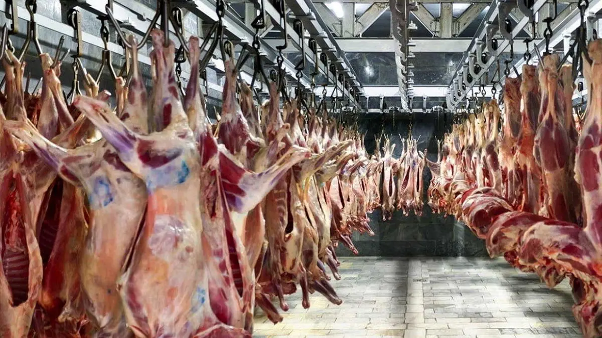 قیمت گوشت ۲۴ فروردین ۱۴۰۱/ کشف بیش از یک تن گوشت و مرغ فاسد!