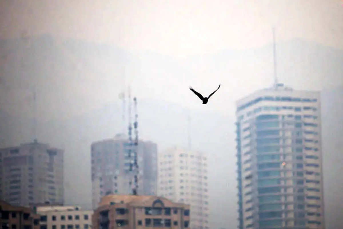 جدیدترین اخبار هواشناسی/ گرما و آلودگی در انتظار تهران