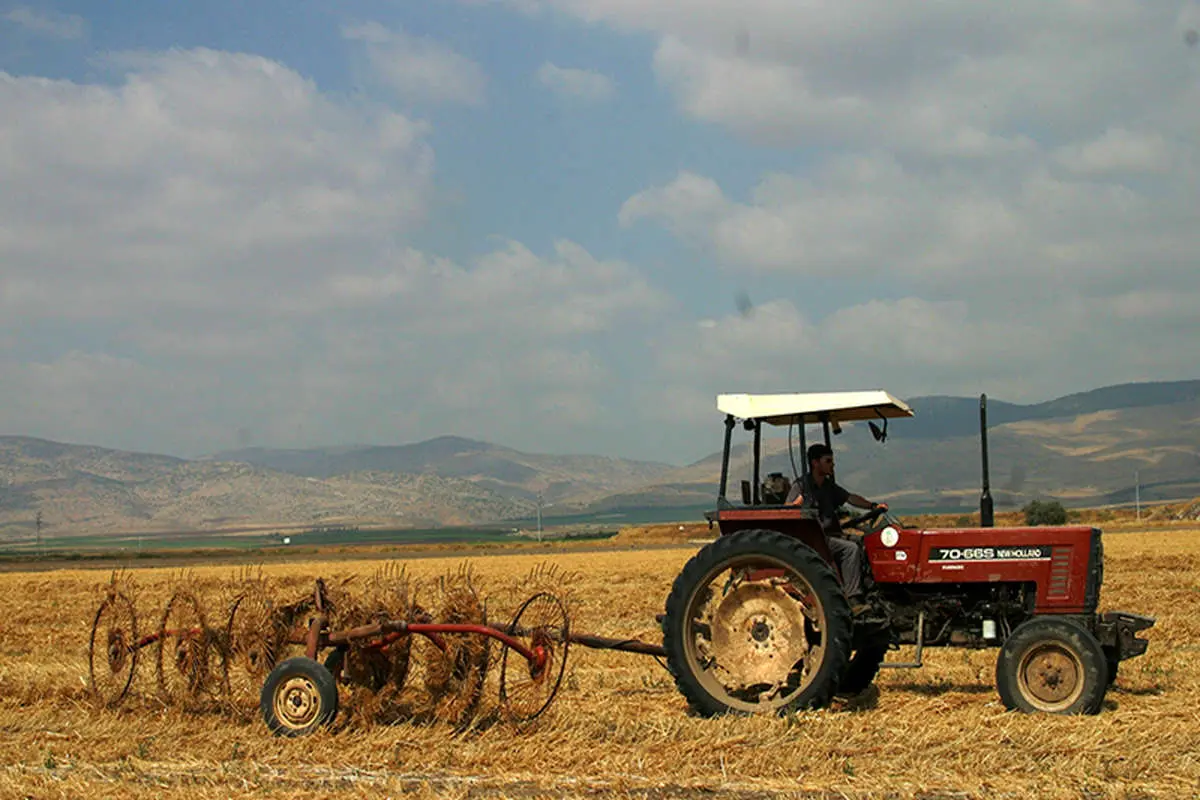 افزایش نرخ خرید تضمینی گندم کمک به کشاورزی است؟