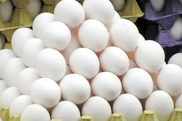 ماهانه ۱۰۵ تا ۱۰۷ هزار تن تخم مرغ در کشور تولید می‌شود