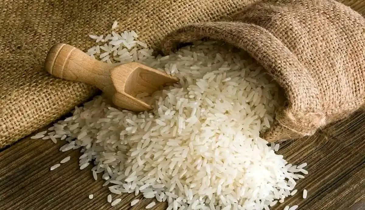 اسامی بهترین برنج‌های مازندران برای خرید