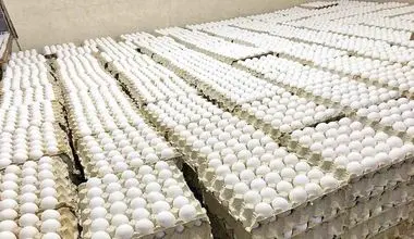 قیمت جدید تخم مرغ در بازار اعلام شد