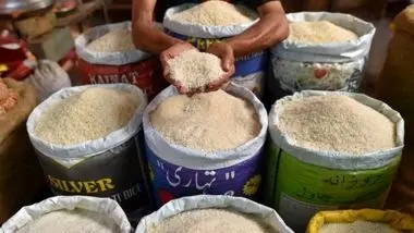  دستور کاهش میزان واردات برنج در زمان برداشت محصول