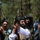 طالبان: به لبنان و فلسطین نیرو استشهادی می فرستیم