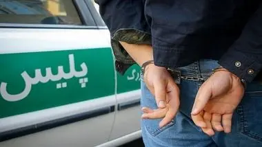 دستگیری فروشنده قرص برنج در پرونده قتل اعضای خانواده تهرانی 
