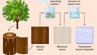 چرا دانشمندان چوب شفاف می‌سازند؟ / قوی‌تر از پلاستیک و محکم‌تر از شیشه