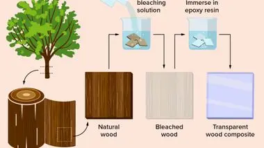 چرا دانشمندان چوب شفاف می‌سازند؟ / قوی‌تر از پلاستیک و محکم‌تر از شیشه