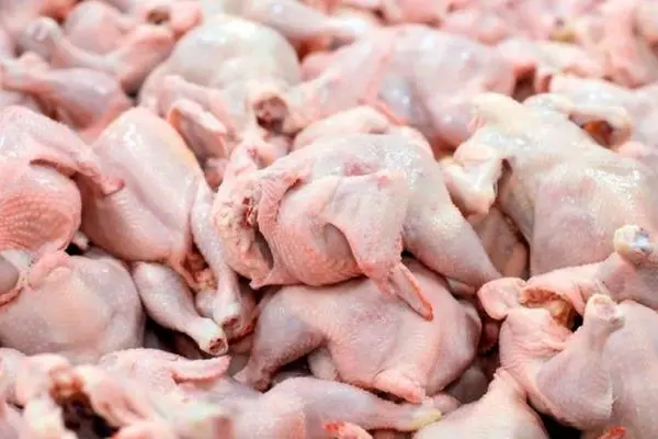 نرخ تخم‌مرغ کاهش یافت/ هر کیلو گرم گوشت مرغ ۸۳.۸۰۰ تومان