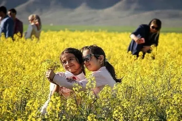 افزایش درآمد کشاورزان گلستان با گسترش گردشگری کشاورزی