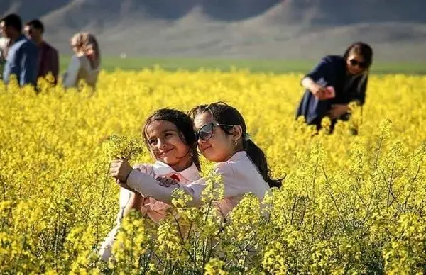 افزایش درآمد کشاورزان گلستان با گسترش گردشگری کشاورزی