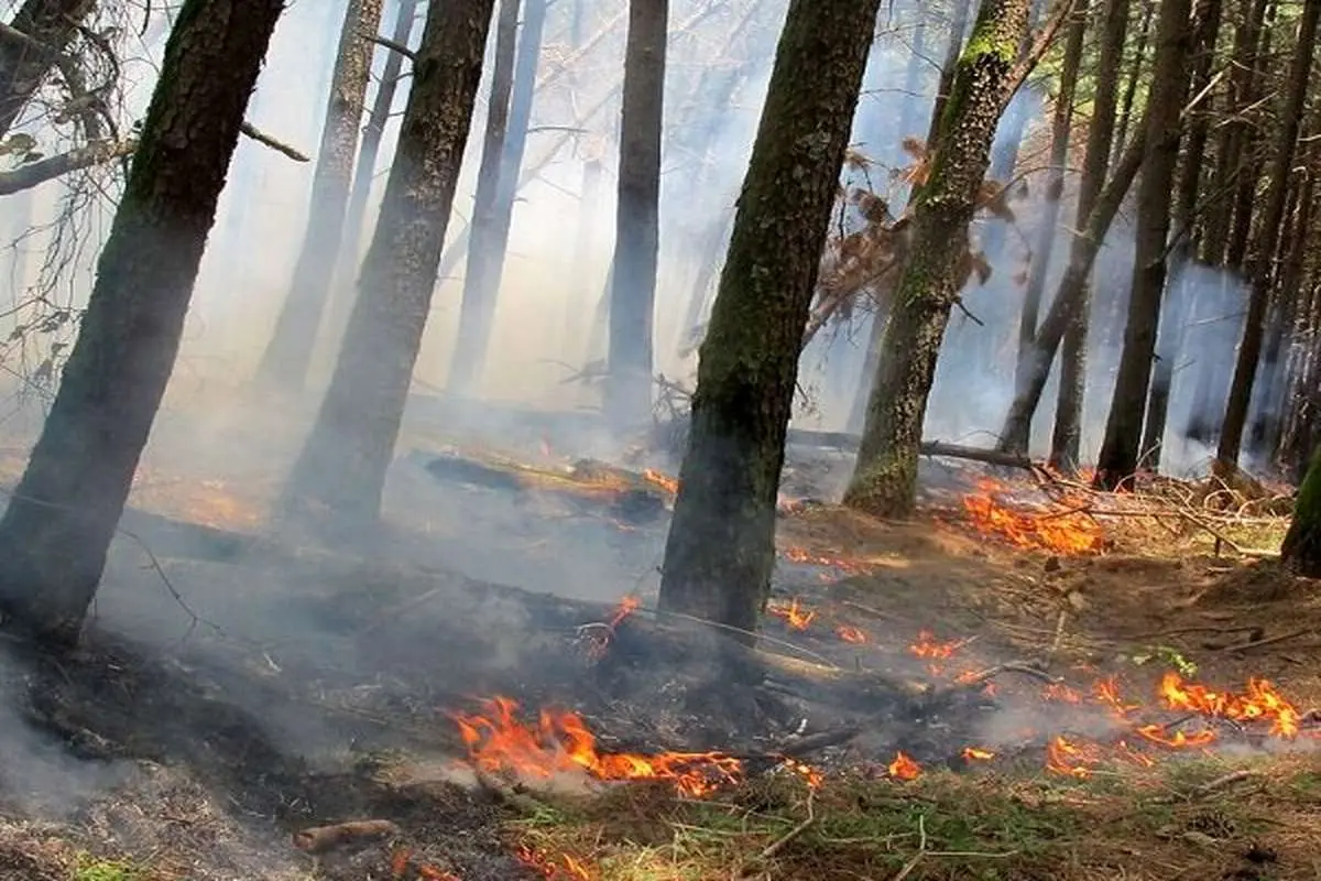 تشریح آخرین وضعیت آتش‌سوزی در مراتع بهبهان و پلدختر