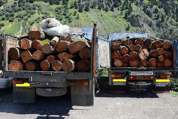 خروج بیش از ۵ هزار یورو از کشور «قاچاق» محسوب می‌ شود