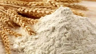 ترکیه در صدر صادرات آرد گندم جهان قرار دارد