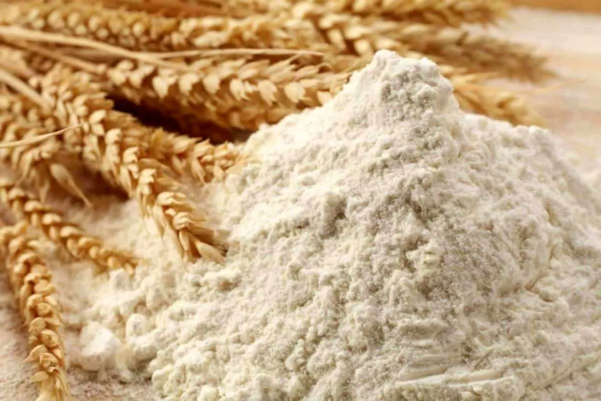 ترکیه در صدر صادرات آرد گندم جهان قرار دارد