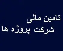 نقش پررنگ بازار سرمایه در حوزه تامین مالی شرکت پروژه ها 