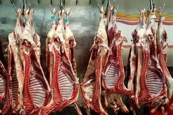 قیمت گوشت قرمز، امروز 1 مرداد 1403/ ران گوسفندی گران شد + جدول
