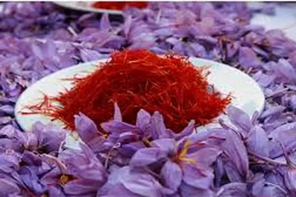 عرضه بیش از 6 هزار کیلوگرم زعفران صادراتی در بورس کالا