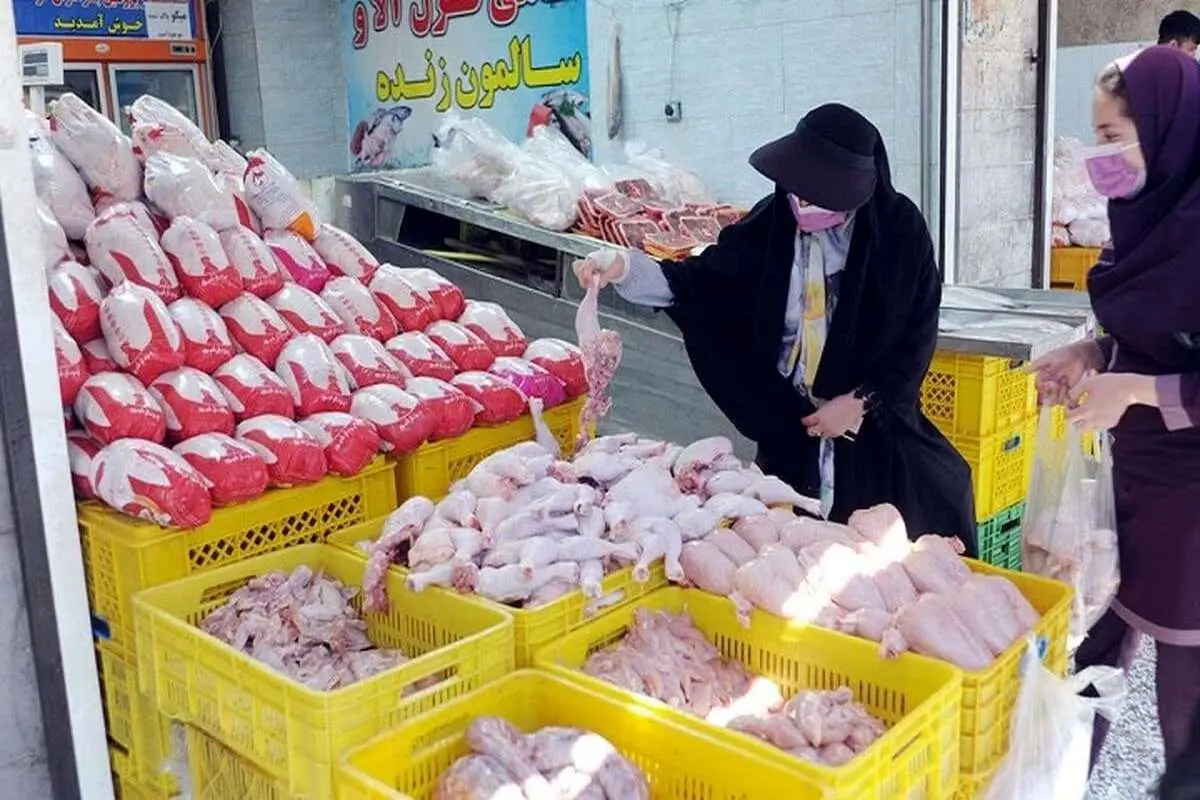 توزیع گوشت و مرغ تنظیم بازاری ویژه شب عید